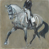 Rosemary Parcell nz equestrian artist